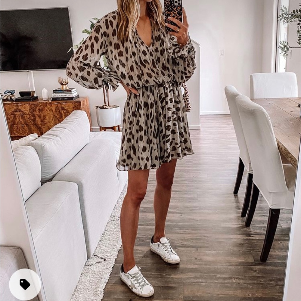 Anine Bing Leopard Dress